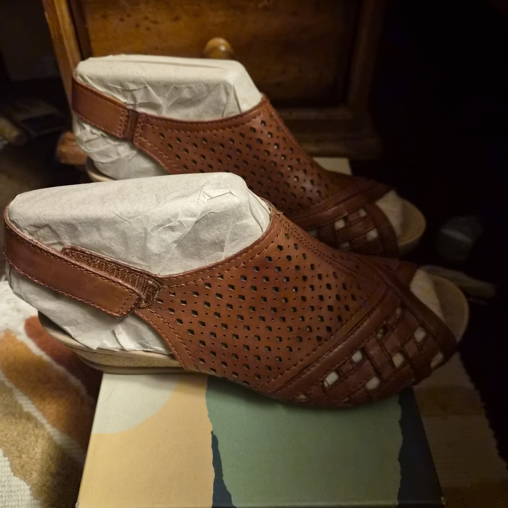 Earth Women's Brown Sandals